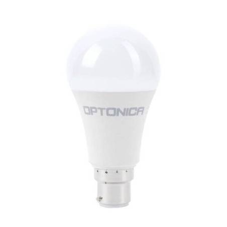 14W Ampoule LED B22 Baionnette A60, 1521Lm, Blanc Froid 6500K, Non
