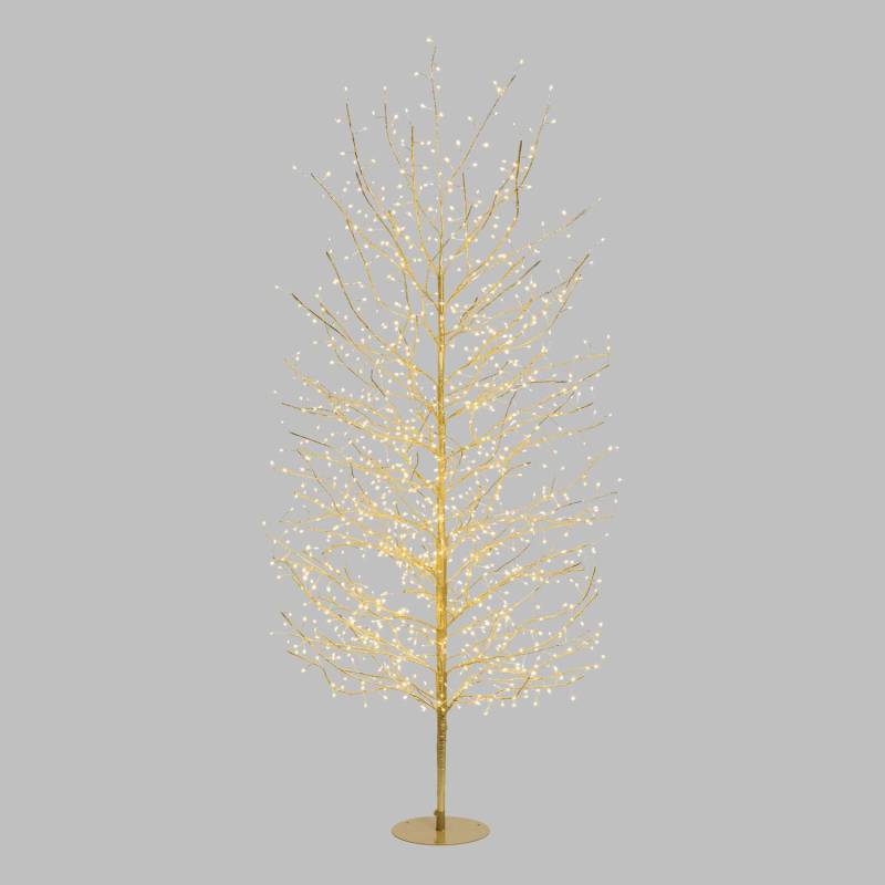 Arbre Lumineux TILLEUL Champagne H200cm 1120 MicroLED FlashLED 4m+Ø110xH200cm