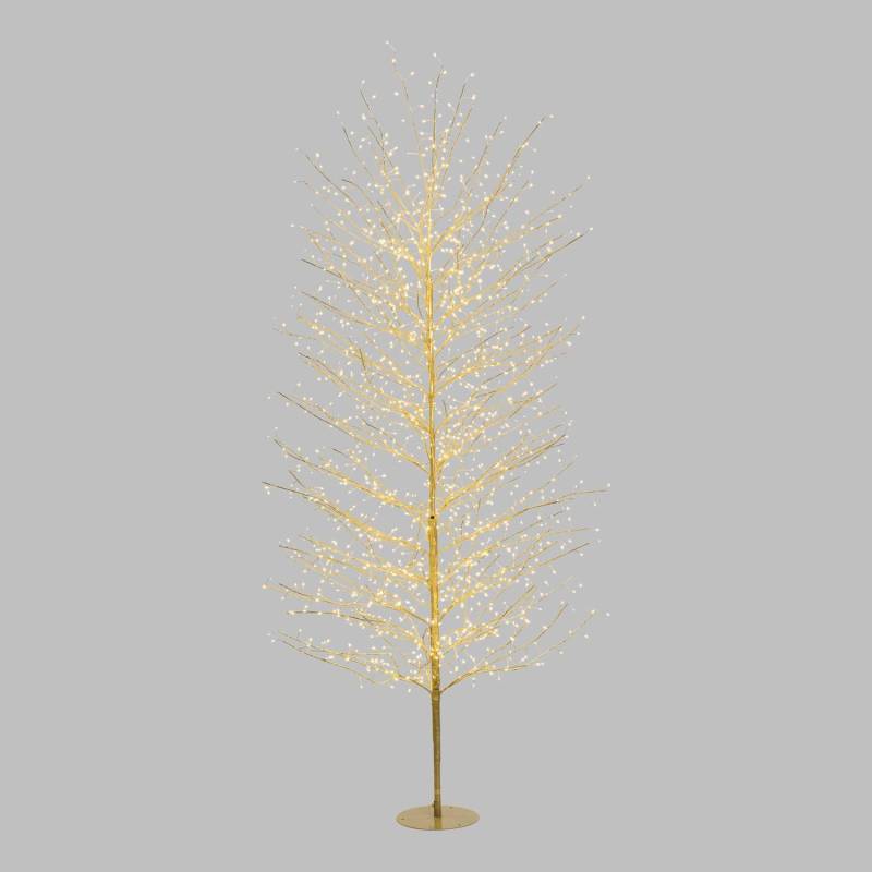 Arbre Lumineux TILLEUL Champagne H230cm 1560 MicroLED FlashLED Blanc chaud