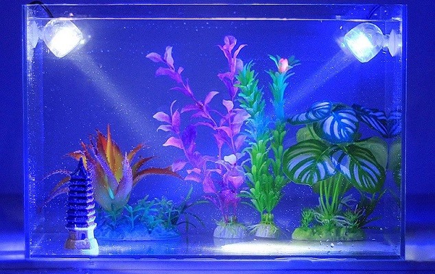 Eclairage pour un aquarium : lequel choisir ?