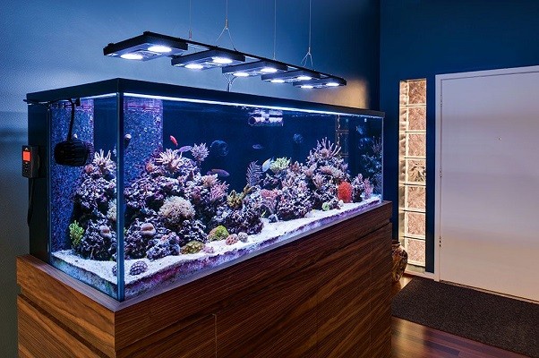 Deco Led Eclairage : Eclairage et décoration aquariums avec rubans led